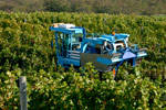 Agriculture & Related Industries